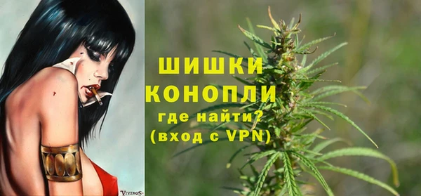 шишки Нея
