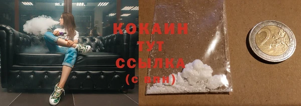 шишки Нея