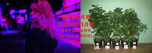 трава Надым