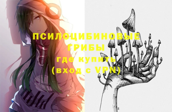 бошки Билибино