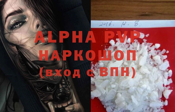 PSILOCYBIN Строитель