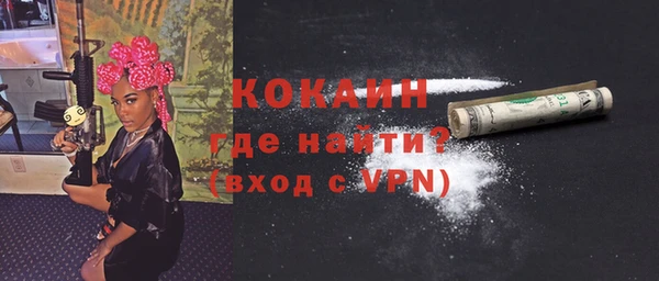 шишки Нея