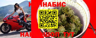 прущие грибы Апшеронск