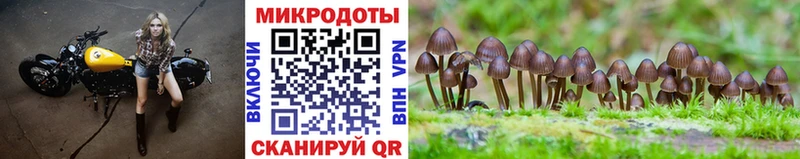 наркотики  OMG как зайти  Псилоцибиновые грибы прущие грибы  Нижневартовск 
