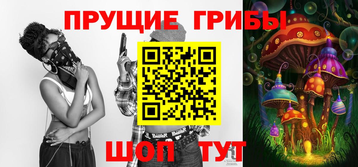 Галлюциногенные грибы Psilocybine cubensis Нижневартовск